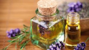 phytothérapie, plantes, huiles essentielles, aromathérapie, gemmothérapie